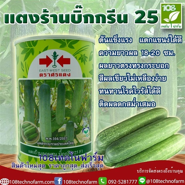 แตงร้านบิ๊กกรีน 25