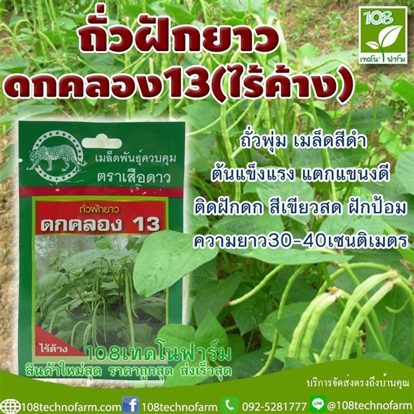 ถัวฝักยาวดกคลอง13 (ไร้ค้าง) | 108เทคโนฟาร์ม - มหาราช พระนครศรีอยุธยา