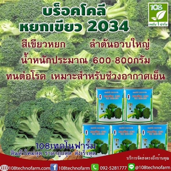 บร็อคโคลี่หยกเขียว 2034 | 108เทคโนฟาร์ม - มหาราช พระนครศรีอยุธยา