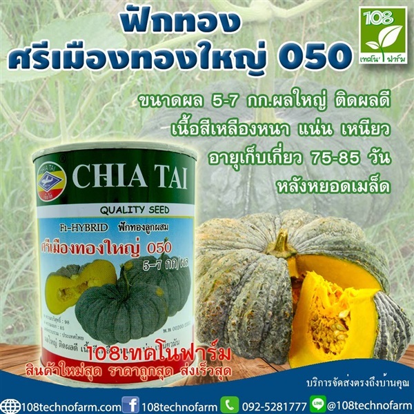 ฟักทองศรีเมืองทองใหญ่ 050