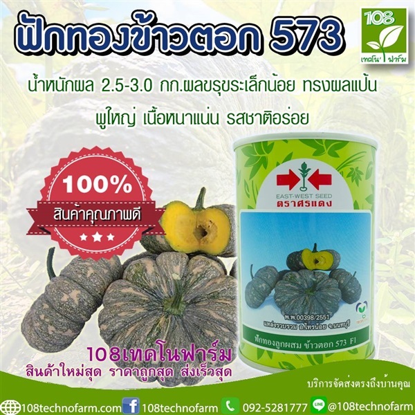 ฟักทองข้าวตอก 573 | 108เทคโนฟาร์ม - มหาราช พระนครศรีอยุธยา