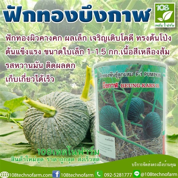 ฟักทองบึงกาฬ | 108เทคโนฟาร์ม - มหาราช พระนครศรีอยุธยา