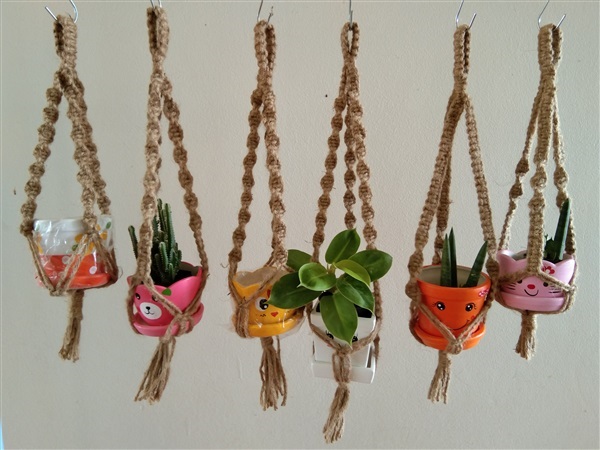 ที่แขวนกระถางต้นไม้ | Macrame plant hanger - บางขุนเทียน กรุงเทพมหานคร