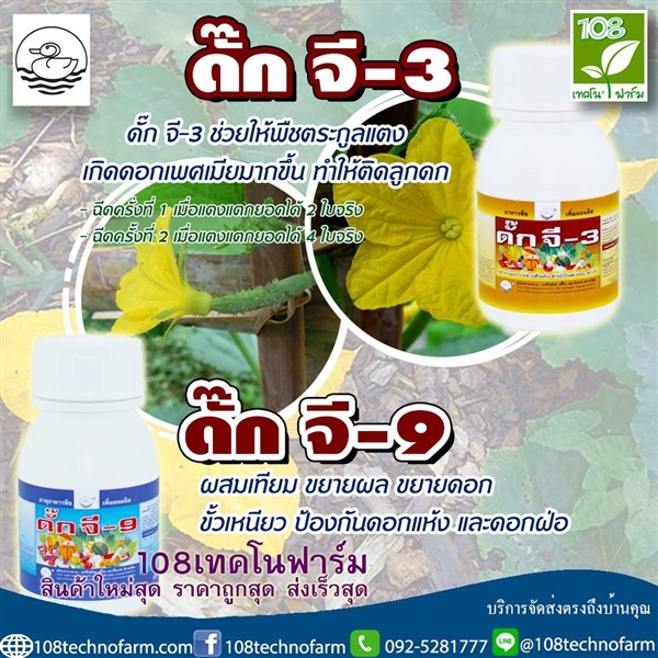 ดั๊กจี-3 | 108เทคโนฟาร์ม - มหาราช พระนครศรีอยุธยา