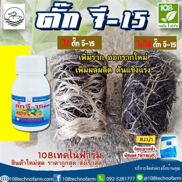 ดั๊กจี-15 | 108เทคโนฟาร์ม - มหาราช พระนครศรีอยุธยา