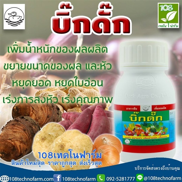 บิ๊กดั๊ก | 108เทคโนฟาร์ม - มหาราช พระนครศรีอยุธยา