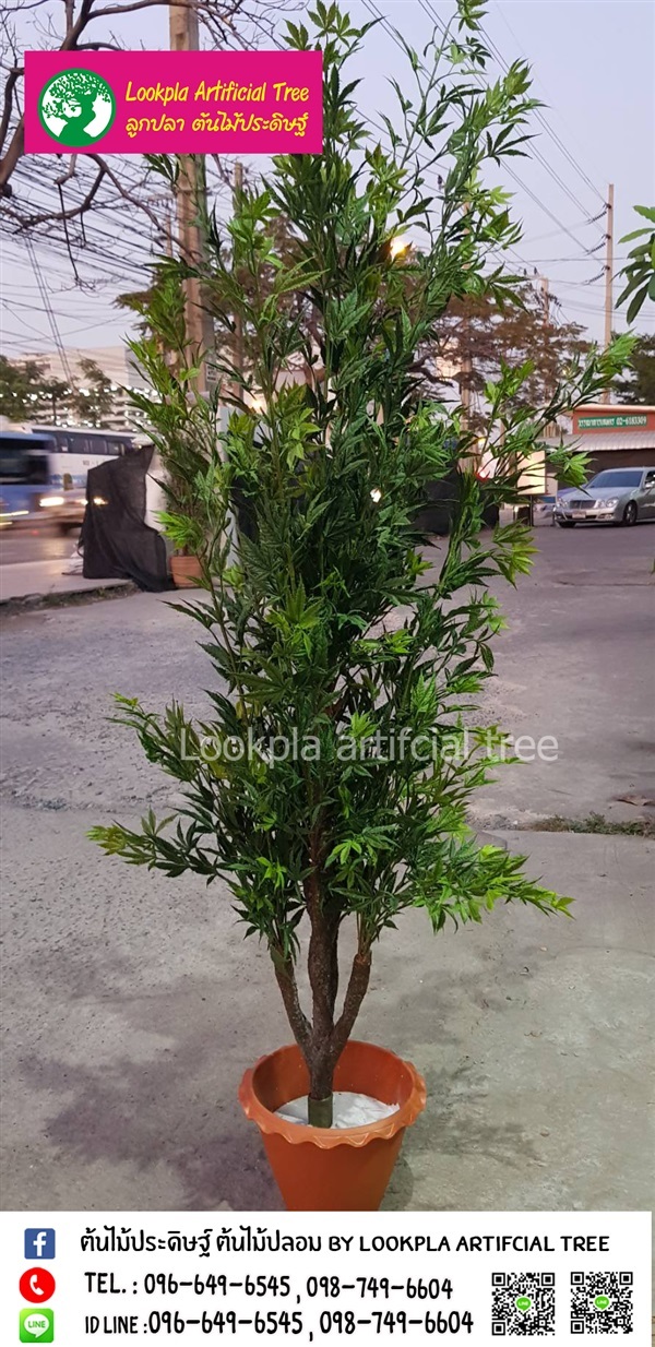ต้นกัญชาต้นไม้ปลอม | Lookpla Artificial Tree - จตุจักร กรุงเทพมหานคร