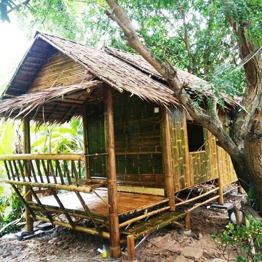 บ้านไม้ใผ่น็อคดาวน์ทรงไทย(Bamboo House)ป้องกันมอดได้ถาวร | บ้านไม้ไผ่ สวนไผ่งาม ปราจีนบุรี - ประจันตคาม ปราจีนบุรี