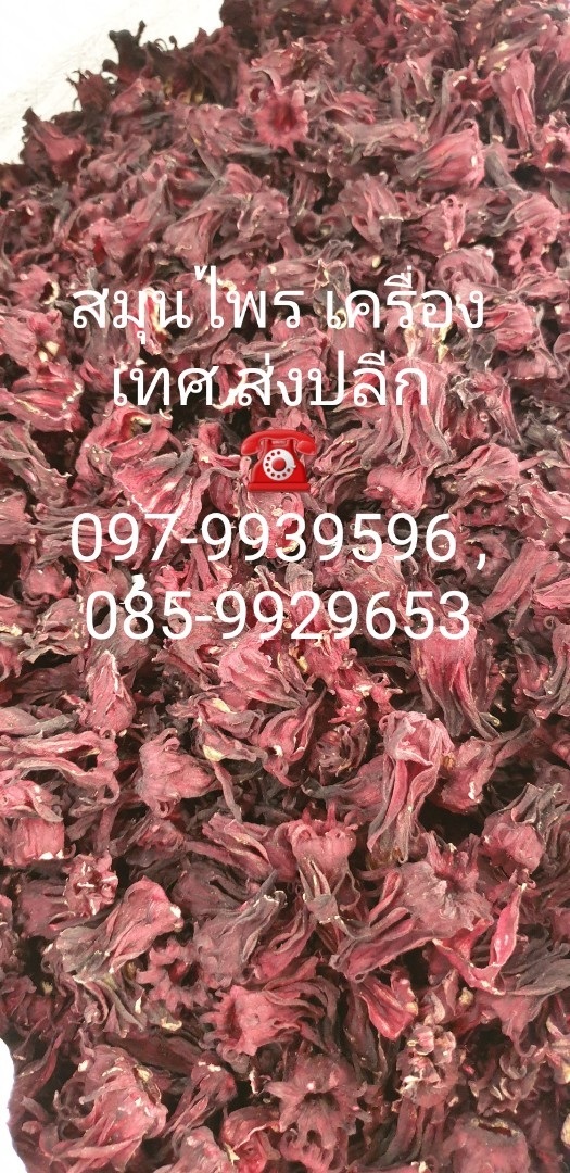 กระเจี๊ยบแห้ง Roselle | เฟิร์สบีนส์ -  กรุงเทพมหานคร