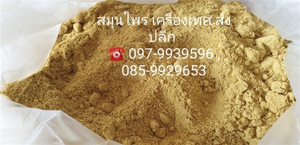 ไพลผง  Cassumunar ginger | เฟิร์สบีนส์ -  กรุงเทพมหานคร