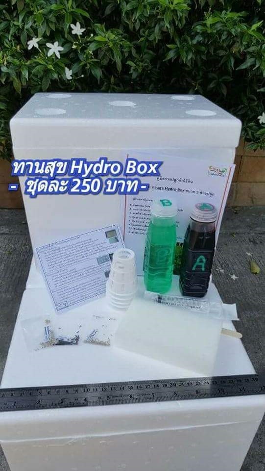 ชุดปลูกผักทานสุข250 | ทานสุข Hydroponic - เมืองฉะเชิงเทรา ฉะเชิงเทรา