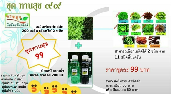 ชุดทดลองปลูกผักสลัดทานสุข99