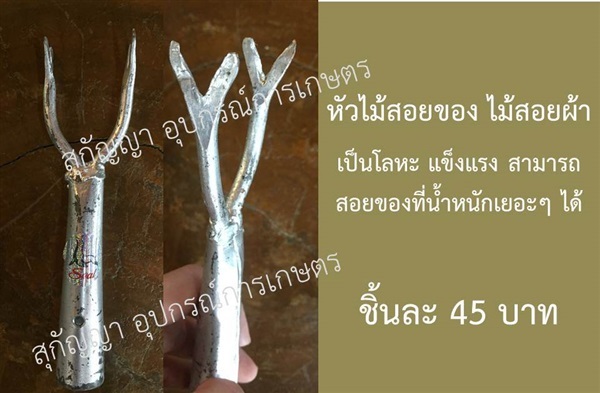 หัว สอยของ