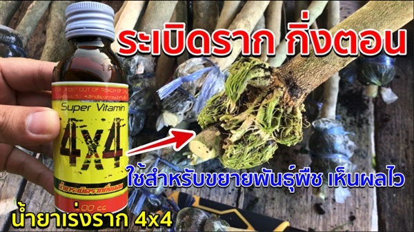 น้ำยาเร่งราก 4x4 Super Vitamin (วิตามินB1และอมิโน) เร่งราก | Farm Charoen - บ้านหมอ สระบุรี