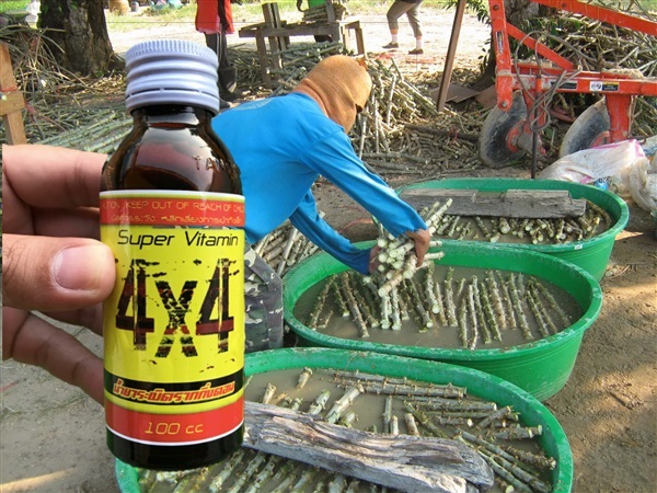 น้ำยาเร่งราก 4x4 (วิตามินB1และอมิโน) แพ็ค 6 ขวด | Farm Charoen - บ้านหมอ สระบุรี