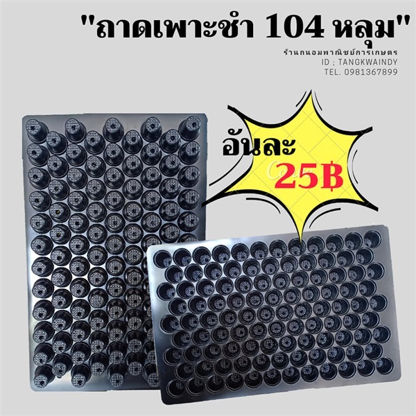 ถาดเพาะชำ ขนาด 104 หลุม 