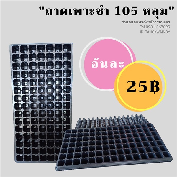 ถาดเพาะชำ ขนาด 105 หลุม | ร้านถนอมพาณิชย์การเกษตร - นาโพธิ์ บุรีรัมย์