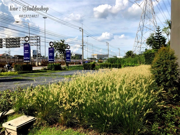 ดอกไม้ประดิษฐ์ | laddagarden - ลาดหลุมแก้ว ปทุมธานี