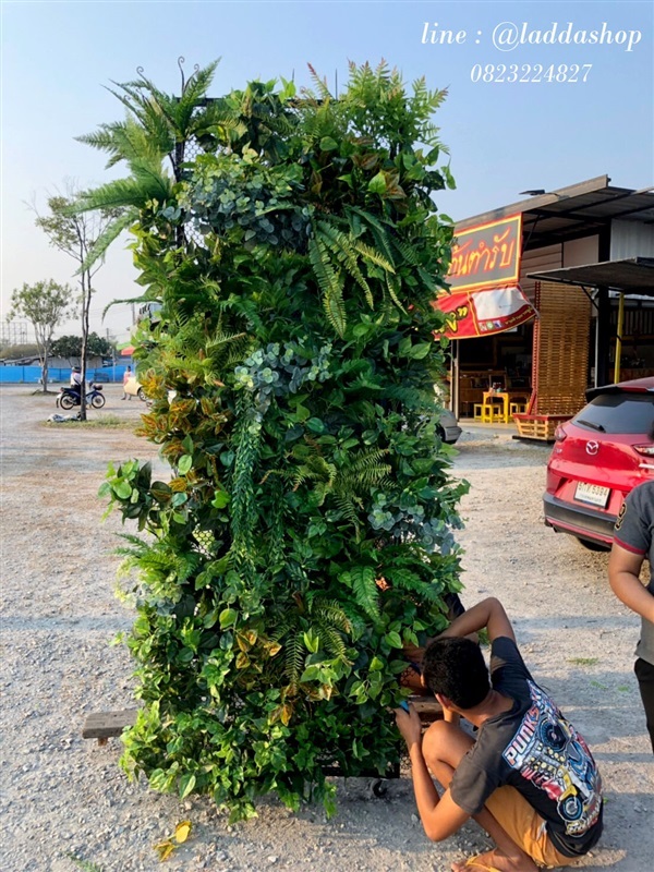 แผงสวนแนวตั้ง | laddagarden - ลาดหลุมแก้ว ปทุมธานี