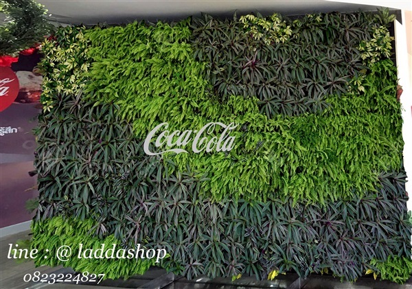 แผงสวนแนวตั้ง | laddagarden - ลาดหลุมแก้ว ปทุมธานี