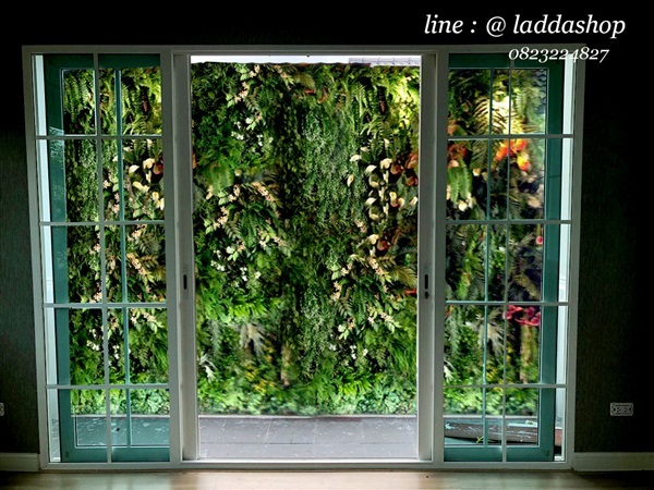 แผงสวนแนวตั้ง | laddagarden - ลาดหลุมแก้ว ปทุมธานี