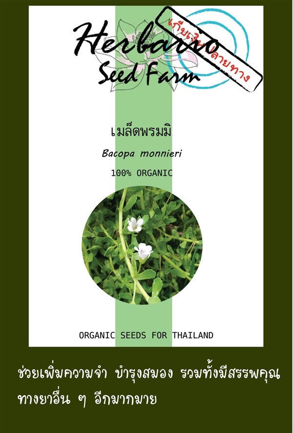 เมล็ดพรมมิ | คลังเมล็ดพันธุ์สวนสมุนไพร - เมืองชลบุรี ชลบุรี