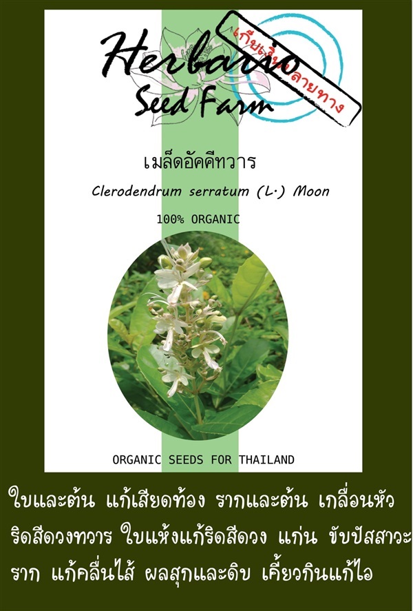 เมล็ดอัคคีทวาร | คลังเมล็ดพันธุ์สวนสมุนไพร - เมืองชลบุรี ชลบุรี