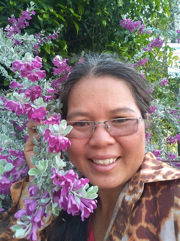 ขายเมล็ดและต้นกล้าดอกนีออน | เมล็ดพันธุ์ดี เกษตรวิถีไทย - เมืองระยอง ระยอง