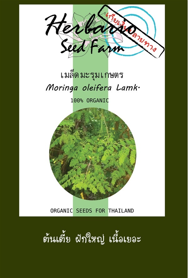 ขายเมล็ดมะรุมเกษตร | คลังเมล็ดพันธุ์สวนสมุนไพร - เมืองชลบุรี ชลบุรี