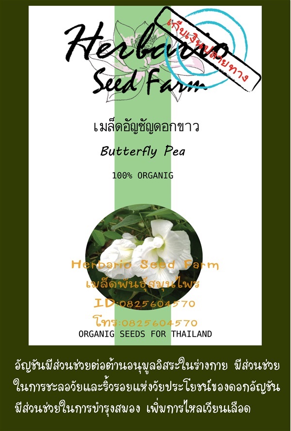 ขายเมล็ดอัญชันสีขาว | คลังเมล็ดพันธุ์สวนสมุนไพร - เมืองชลบุรี ชลบุรี