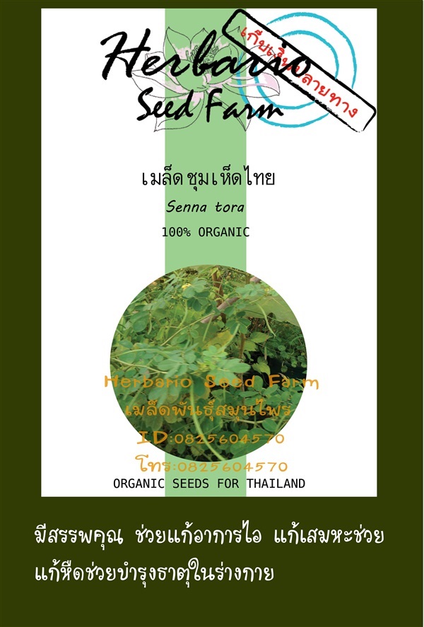 ขายเมล็ดชุมเห็ดไทย | คลังเมล็ดพันธุ์สวนสมุนไพร - เมืองชลบุรี ชลบุรี