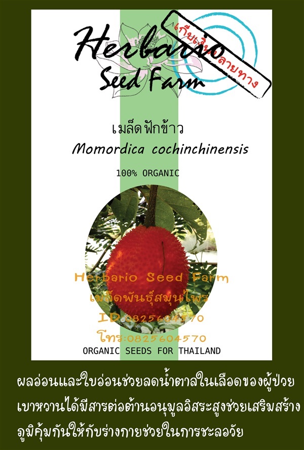 ขายเมล็ดฟักข้าว | คลังเมล็ดพันธุ์สวนสมุนไพร - เมืองชลบุรี ชลบุรี