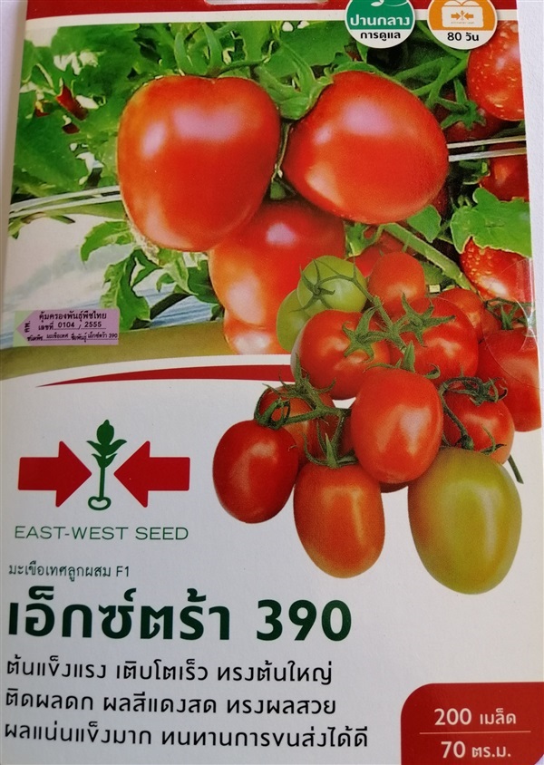 เมล็ดพันธุ์มะเขือเทศลูกผสม Extra 390