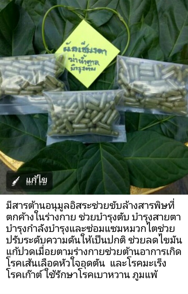 ผักเชียงดา