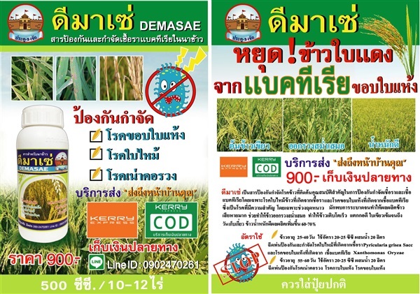 ดีมาเซ่ สารกำจัดโรคเชื้อราเเบคทีเรียในนาข้าว | ดีมาเซ่  -  นครราชสีมา