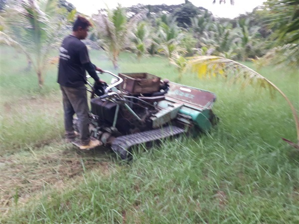 ขาย รถตัดหญ้า ใบตีตัววาย ยี่ห้อ BARONESS ดีเซล 3 สูบ เหมาะตั | tractor-backhoe - ปากท่อ ราชบุรี