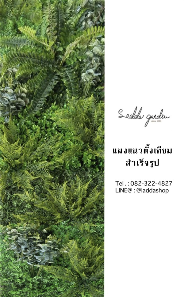 สวนเเนวตั้งสำเร็จรูป | laddagarden - ลาดหลุมแก้ว ปทุมธานี