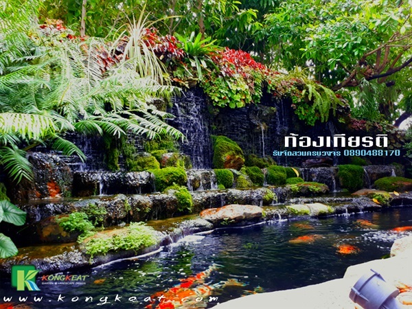 รับทำบ่อปลาคาร์ฟ ครบวงจร | ก้องเกียรติ รับจัดสวนครบวงจร  - บ้านแพ้ว สมุทรสาคร