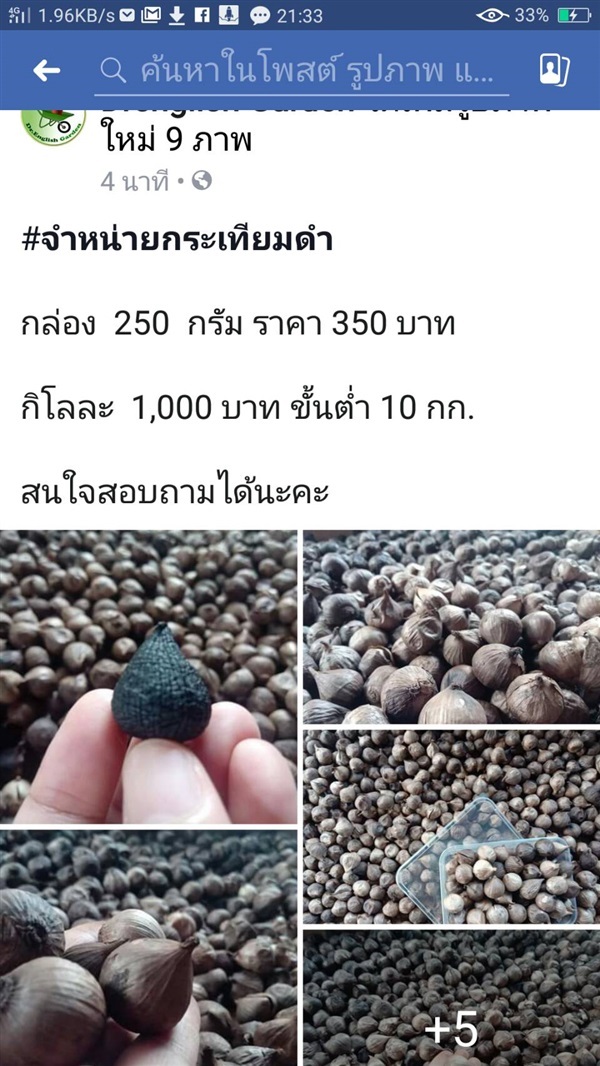 #จำหน่ายกระเทียมดำ  กล่อง 250 กรัม ราคา 350 บาท   | Drenglish Garden มหาสารคาม - กันทรวิชัย มหาสารคาม