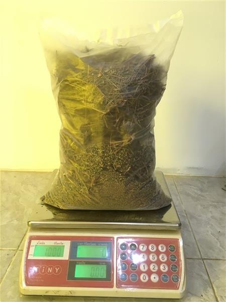 ลูกใต้ใบอบแห้ง(เกรดA) บรรจุ1kg. ราคาถูก | PopayaNaturalProduct - คลองหลวง ปทุมธานี