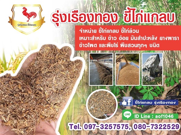 ขี้ไก่แกลบราคาถูก | ขี้ไก่แกลบรุ่งเรืองทอง - คำม่วง กาฬสินธุ์