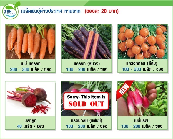 เมล็ดพันธุ์ผักต่างประเทศ (ทานราก)