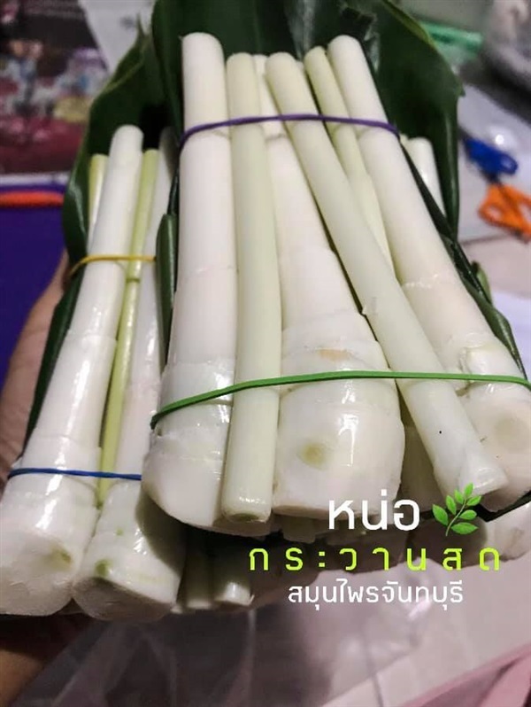 กระวาน | 365Day -  จันทบุรี