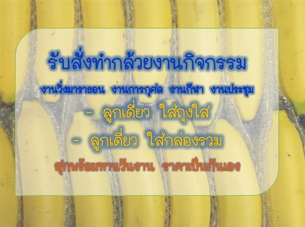 กล้วยหอมทองงานวิ่ง | PlantarLAB - เมืองนครนายก นครนายก