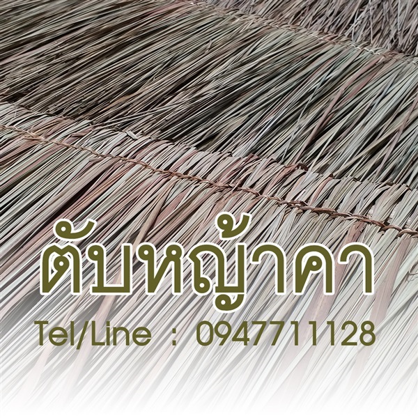 ขายส่งตับหญ้าคา ราคาถูก จัดส่งทั่วประเทศ