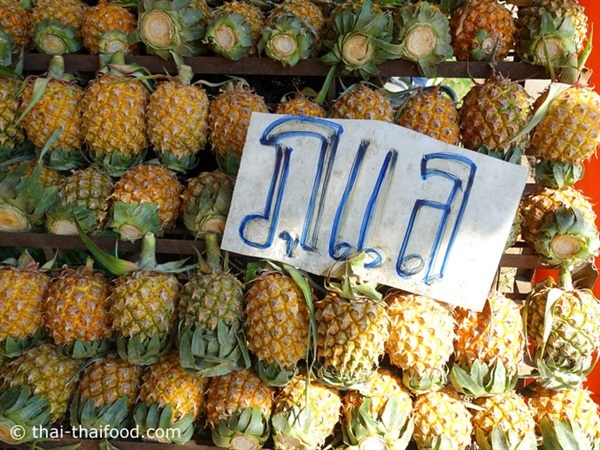 สับปะรด : Pineapple สายพันธุ์ภูแล | เกษตรแก้วบุญ - สารภี เชียงใหม่