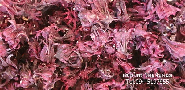 กระเจี๊ยบอบแห้ง (Roselle) | thaijanhomherbs - สามพราน นครปฐม