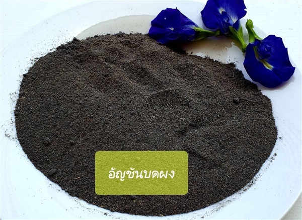 อัญชันบดผง | thaijanhomherbs - สามพราน นครปฐม