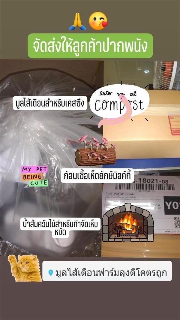 มูลไส้เดือน | ฟาร์มไส้เดือนลุงดี - ร่อนพิบูลย์ นครศรีธรรมราช