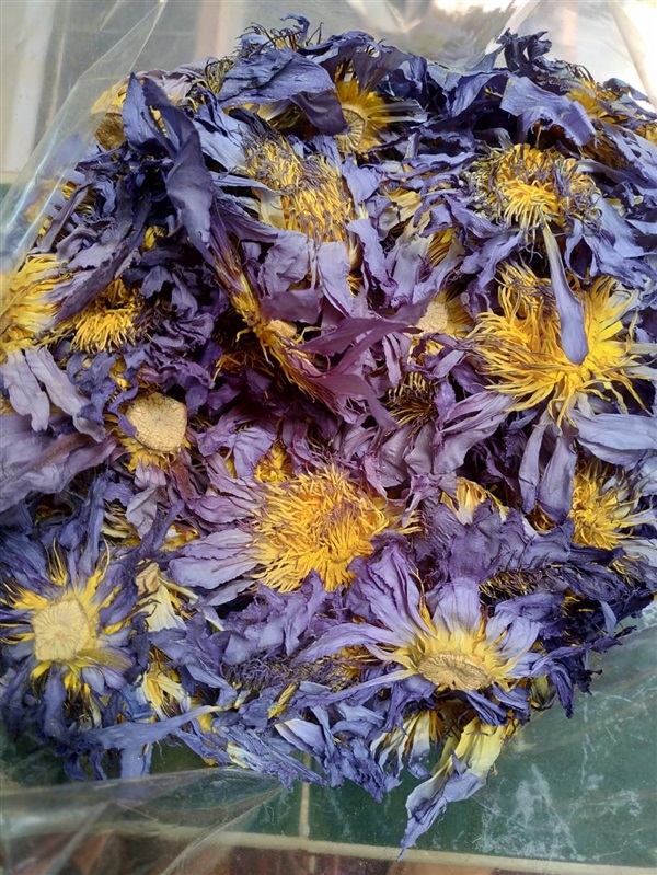 ชาดอกบัวอบแห้ง Blue  Lotus flower Tea 1000 g | NJ HERBS SHOP ( LOTUS TEA ) - บางเลน นครปฐม